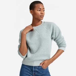 Everlane ReNew Fleece Raglan Sweatshirt